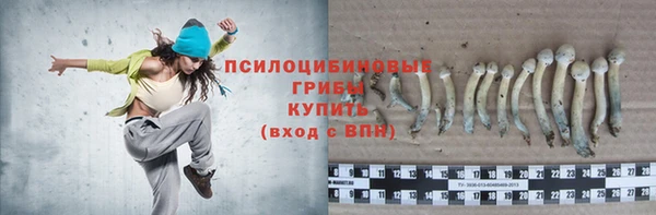 тгк Верея