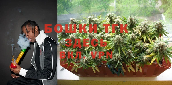 тгк Верея