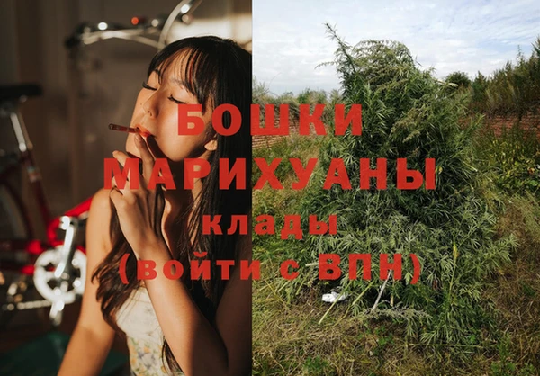 тгк Верея
