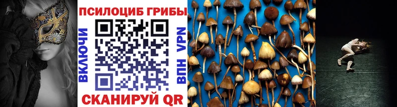 дарнет шоп  Астрахань  Галлюциногенные грибы GOLDEN TEACHER 